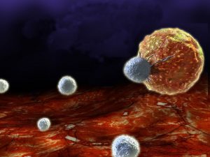 Immunotherapy: Immune cells attacking cancer cells. Image by Dr Christine Galustian